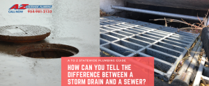 Understanding The Difference: Storm Drains Vs. Sewers - A To Z ...